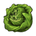 RoundLettuce`s Avatar